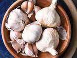 2026 New Crop Brand Fresh Garlic Red Normal Purple Pure White Garlic Price for Wholesale - фото 1