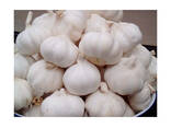 2026 New Crop Brand Fresh Garlic Red Normal Purple Pure White Garlic Price for Wholesale - фото 2