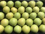 Best apples from Poland wholesale - photo 2