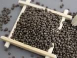 Best Price Diammonium Phosphate Dap Fertilizer, DAP 18 46 0 - фото 1