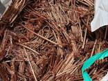 Copper Wire Scrap (BE Origin Custom Brand) - photo 1
