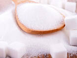 Hot sell ICUMSA 45 white sugar high quality best price - photo 1