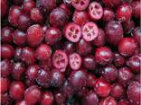 Frutas vermelhas e frutas congeladas; misturas de frutas vermelhas e frutas, bem como mist - фото 5