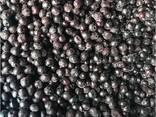 Frutas vermelhas e frutas congeladas; misturas de frutas vermelhas e frutas, bem como mist - фото 6