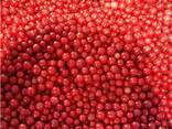 Frutas vermelhas e frutas congeladas; misturas de frutas vermelhas e frutas, bem como mist - фото 8