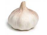 Low price Fresh Garlic bulbs available for bulk purchase and export - photo 1