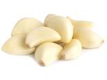 Low price Fresh Garlic bulbs available for bulk purchase and export - фото 3