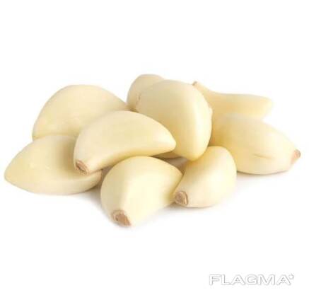 Export Quality Fresh Red Garlic | High Flavor, Clean, and Firm Bulbs |