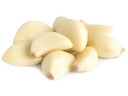 Export Quality Fresh Red Garlic | High Flavor, Clean, and Firm Bulbs |