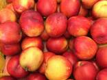 Sweet and juicy Peach, Nectarine and Cherry time. - photo 2