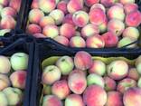 Sweet and juicy Peach, Nectarine and Cherry time. - фото 5