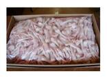 Frozen Chicken Feet &amp; Sausages Whole Chicken-IQF Processed - фото 3