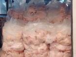 Frozen Halal Chicken Paws and Chicken Feet for Wholesale Export and Global Food Supply - фото 1